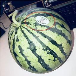 群里吃瓜网红,揭秘网络红人的幕后故事  第1张