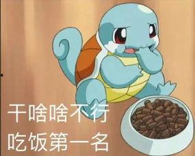 杰尼龟爆料视频,揭秘背后故事与幕后真相 第2张 杰尼龟爆料视频,揭秘背后故事与幕后真相 第2张